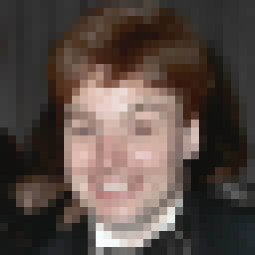 FaceGuessser: Wednesday, August 19, 2026 - 16x16