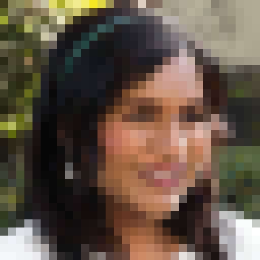 FaceGuessser: Monday, June 16, 2025 - 16x16