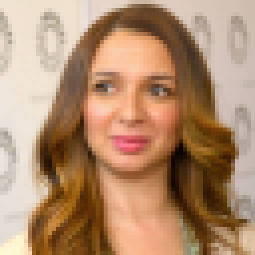 FaceGuessser: Monday, June 30, 2025 - 8x8