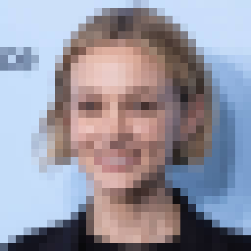 FaceGuessser: Friday, May 15, 2026 - 16x16