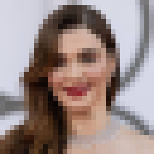 FaceGuessser: Saturday, May 2, 2026 - 16x16