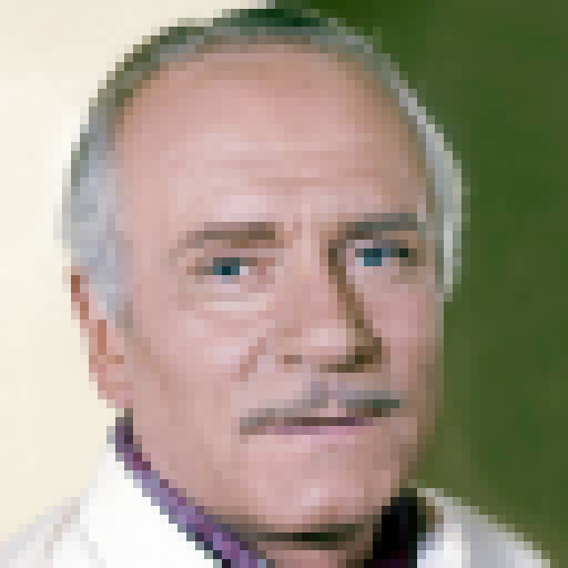 FaceGuessser: Monday, May 4, 2026 - 8x8
