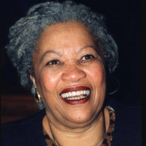 Face Guesser: Toni Morrison - 1x1