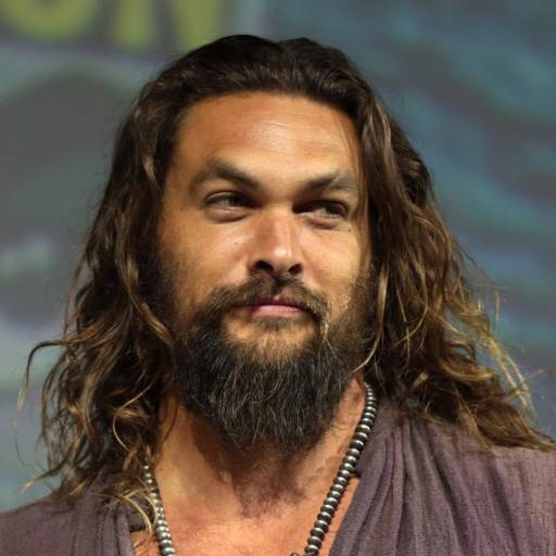 Face Guesser: Jason Momoa - 1x1