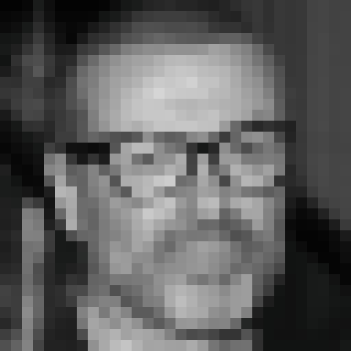 FaceGuessser: Friday, July 31, 2026 - 16x16