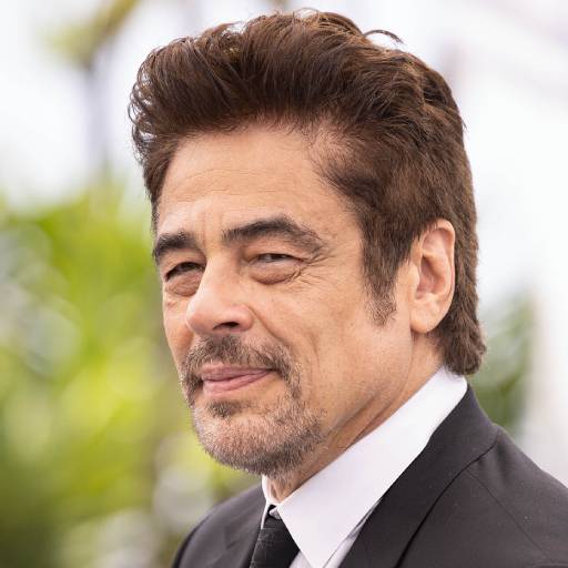Face Guesser: Benicio del Toro - 1x1