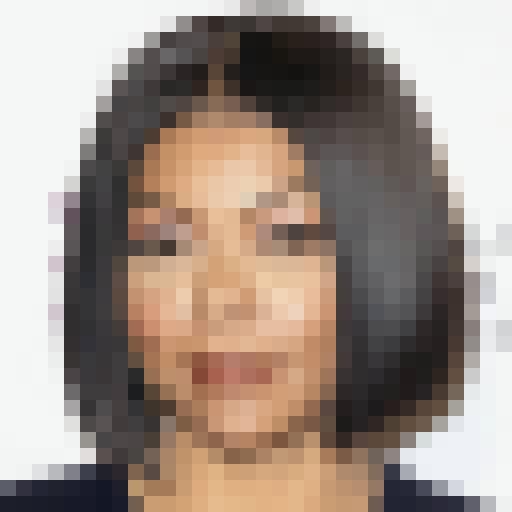 FaceGuessser: Friday, September 25, 2026 - 16x16