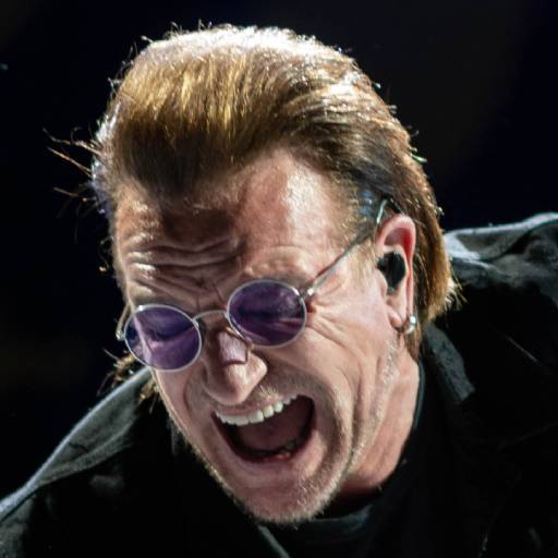 FaceGuessser: Friday, April 24, 2026 - 1x1