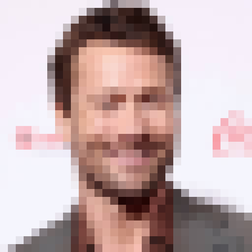 FaceGuessser: Saturday, August 8, 2026 - 16x16