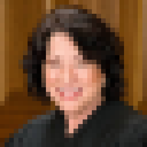 FaceGuessser: Wednesday, July 22, 2026 - 16x16