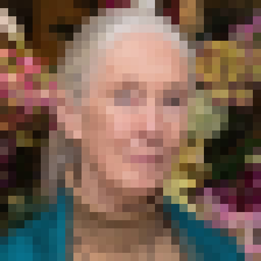 FaceGuessser: Tuesday, December 9, 2025 - 16x16