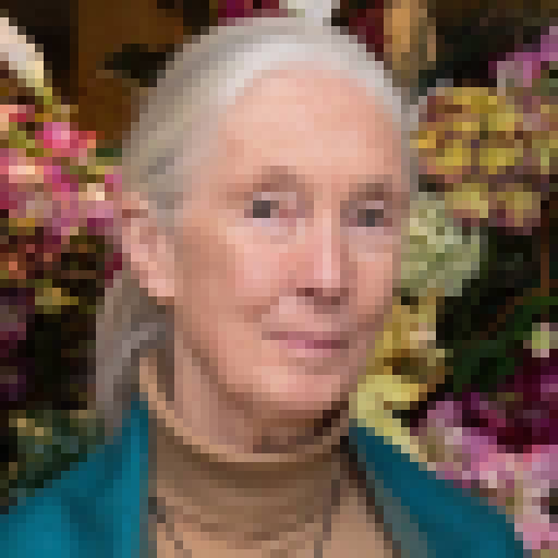 FaceGuessser: Tuesday, December 9, 2025 - 8x8