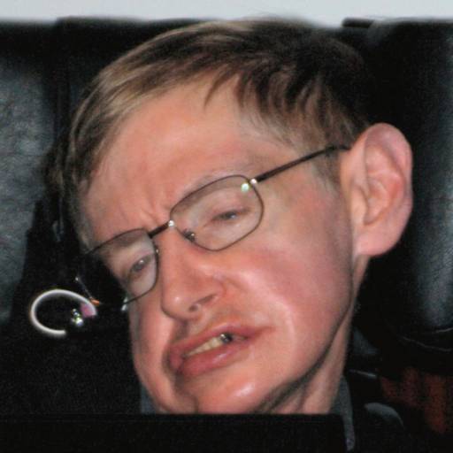 Face Guesser: Stephen Hawking - 1x1