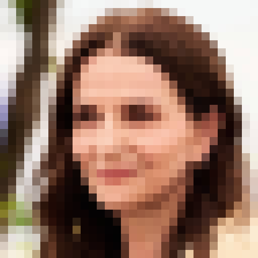 FaceGuessser: Saturday, June 13, 2026 - 16x16
