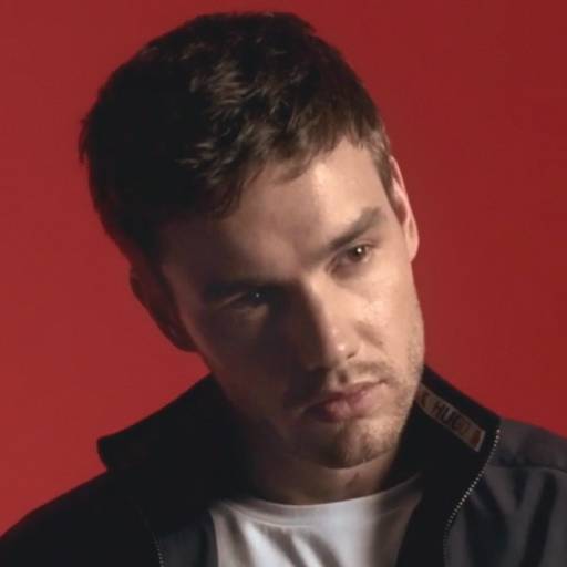 Face Guesser: Liam Payne - 1x1