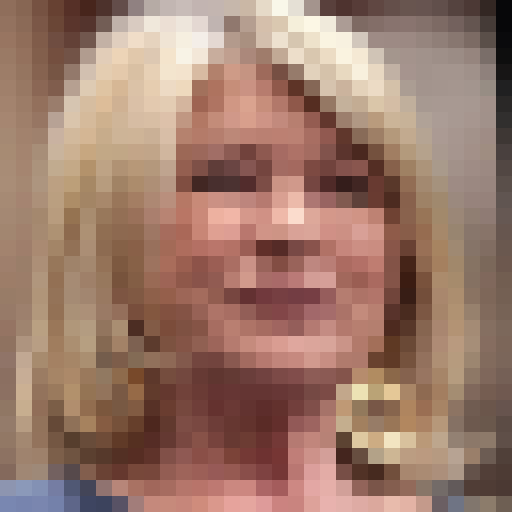 FaceGuessser: Sunday, December 21, 2025 - 16x16